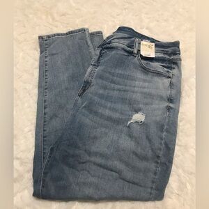 Terra & Sky High Rise Skinny Jeans